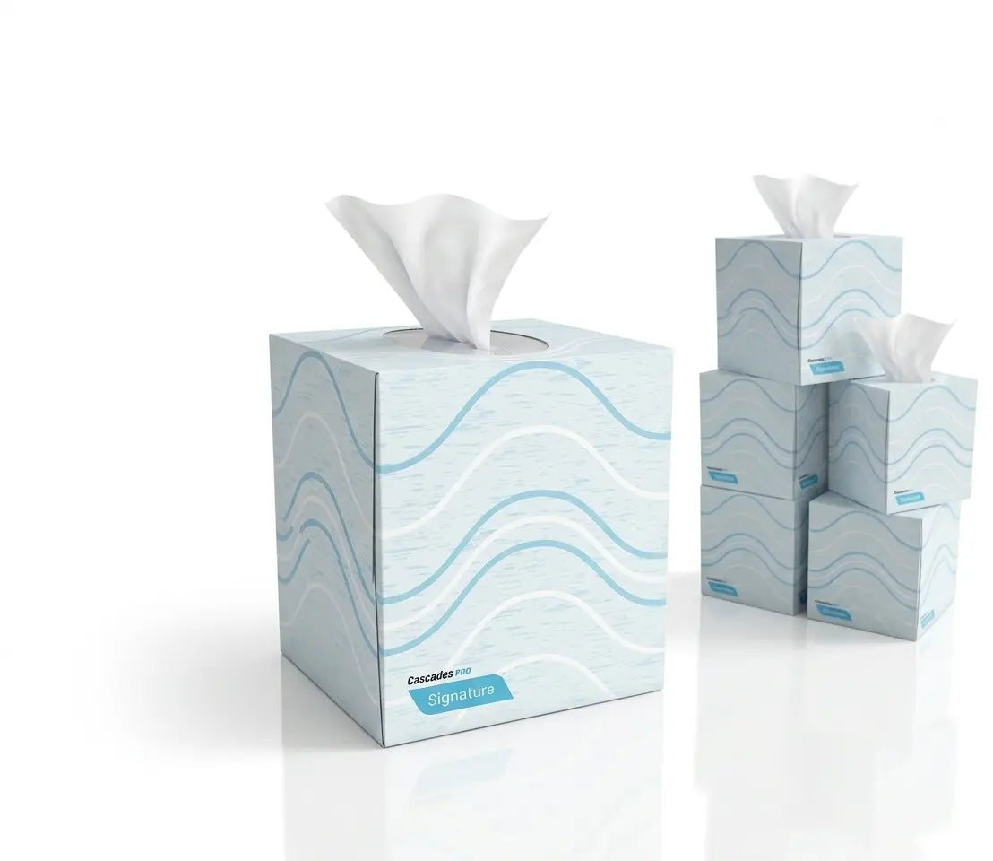 cascads-pro-signature-facial-tissue-cube-f710
