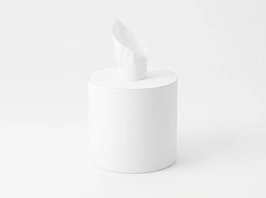 Kruger Metro 01322 2-ply white center-pull paper towels case of 6 rolls